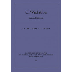 CP Violation