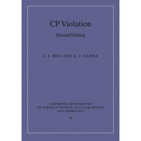 CP Violation