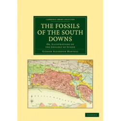 The Fossils of the South Downs: Or, Illustrations of the Geology of Sussex