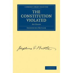 The Constitution Violated: An Essay