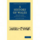 A History of Wales: Derived from Authentic Sources
