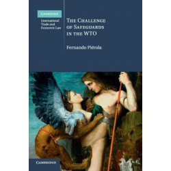 The Challenge of Safeguards in the WTO