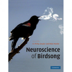 Neuroscience of Birdsong