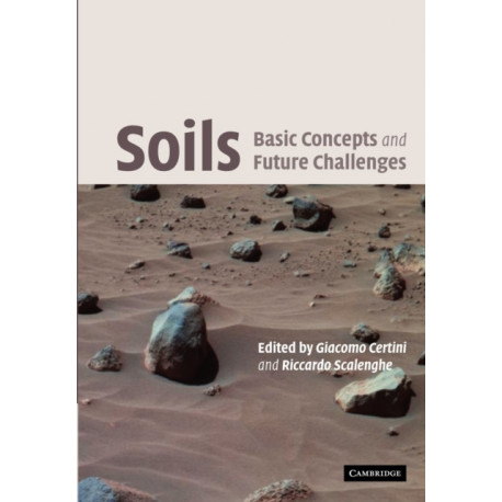 Soils: Basic Concepts and Future Challenges