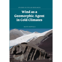 Wind as a Geomorphic Agent in Cold Climates