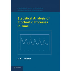 Statistical Analysis of Stochastic Processes in Time