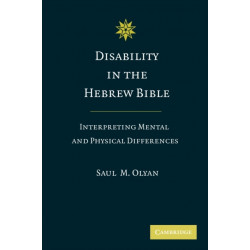 Disability in the Hebrew Bible: Interpreting Mental and Physical Differences