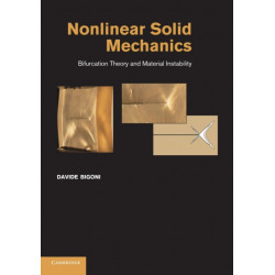 Nonlinear Solid Mechanics: Bifurcation Theory and Material Instability