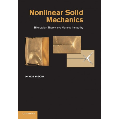 Nonlinear Solid Mechanics: Bifurcation Theory and Material Instability