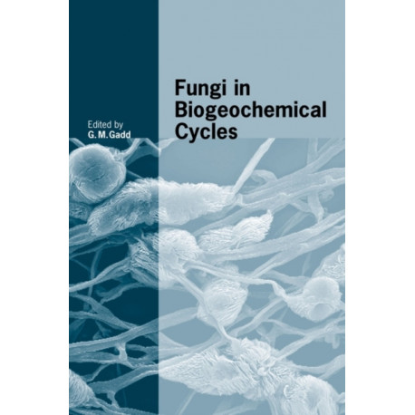 Fungi in Biogeochemical Cycles