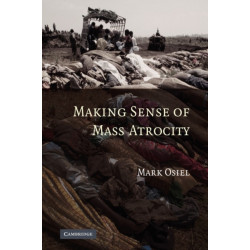 Making Sense of Mass Atrocity
