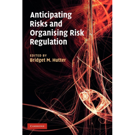 Anticipating Risks and Organising Risk Regulation