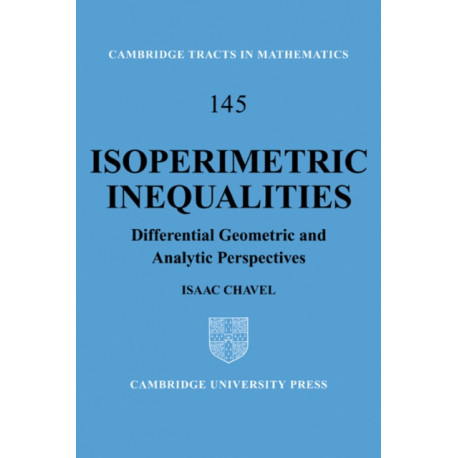 Isoperimetric Inequalities: Differential Geometric and Analytic Perspectives