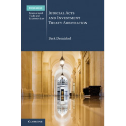 Judicial Acts and Investment Treaty Arbitration