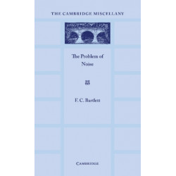 The Problem of Noise