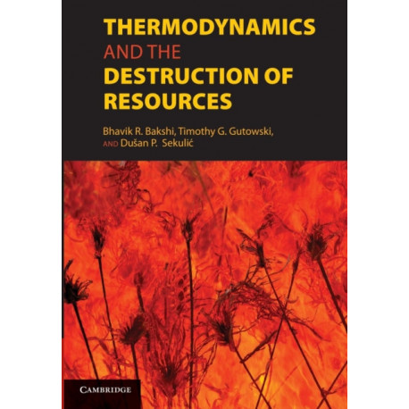 Thermodynamics and the Destruction of Resources