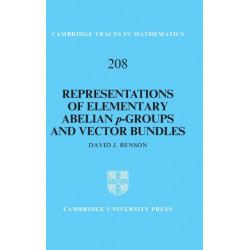 Representations of Elementary Abelian p-Groups and Vector Bundles