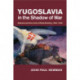Yugoslavia in the Shadow of War: Veterans and the Limits of State Building, 1903–1945