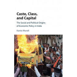 Caste, Class, and Capital: The Social and Political Origins of Economic Policy in India