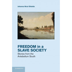 Freedom in a Slave Society: Stories from the Antebellum South