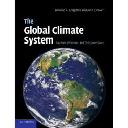 The Global Climate System: Patterns, Processes, and Teleconnections