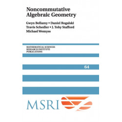 Noncommutative Algebraic Geometry