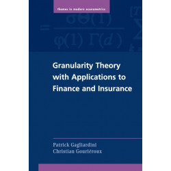 Granularity Theory with Applications to Finance and Insurance