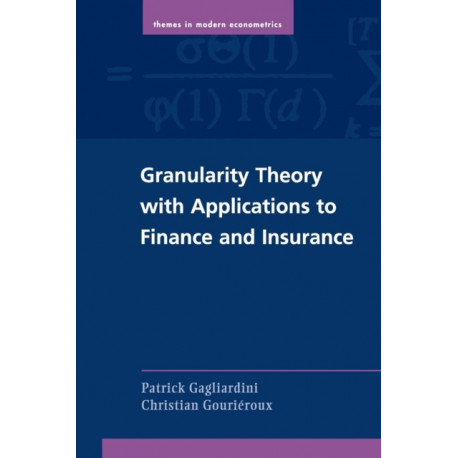 Granularity Theory with Applications to Finance and Insurance