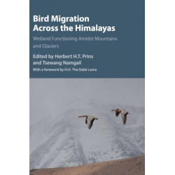 Bird Migration across the Himalayas: Wetland Functioning amidst Mountains and Glaciers