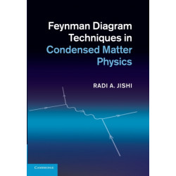 Feynman Diagram Techniques in Condensed Matter Physics