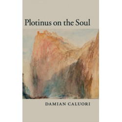 Plotinus on the Soul