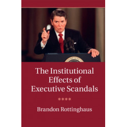 The Institutional Effects of Executive Scandals