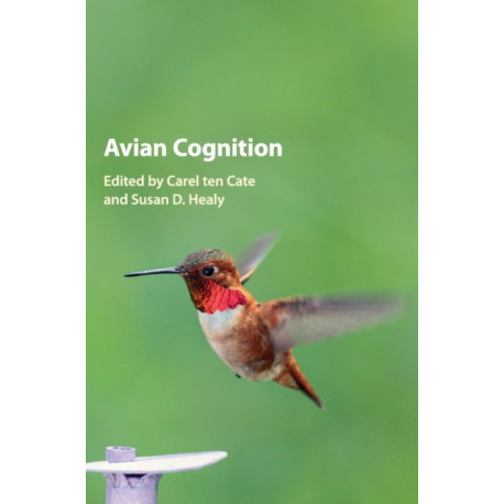 Avian Cognition