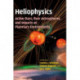 Heliophysics: Active Stars, their Astrospheres, and Impacts on Planetary Environments