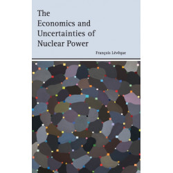 The Economics and Uncertainties of Nuclear Power