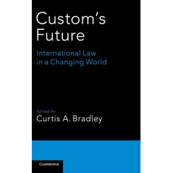 Custom's Future: International Law in a Changing World