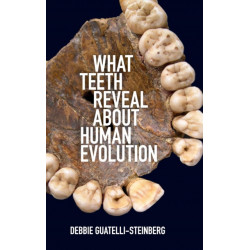 What Teeth Reveal about Human Evolution