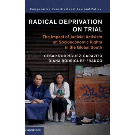 Radical Deprivation on Trial: The Impact of Judicial Activism on Socioeconomic Rights in the Global South
