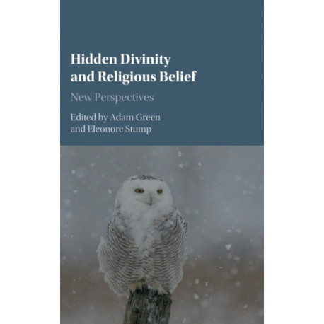 Hidden Divinity and Religious Belief: New Perspectives