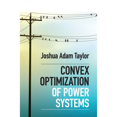 Convex Optimization of Power Systems