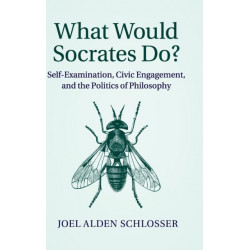 What Would Socrates Do?: Self-Examination, Civic Engagement, and the Politics of Philosophy
