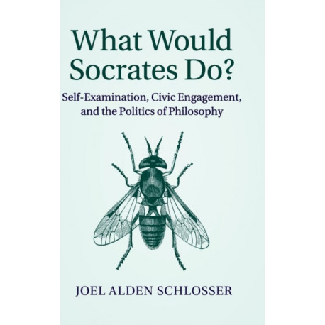 What Would Socrates Do?: Self-Examination, Civic Engagement, and the Politics of Philosophy