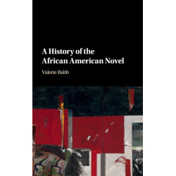 A History of the African American Novel