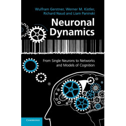 Neuronal Dynamics: From Single Neurons to Networks and Models of Cognition