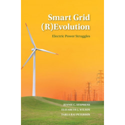 Smart Grid (R)Evolution: Electric Power Struggles
