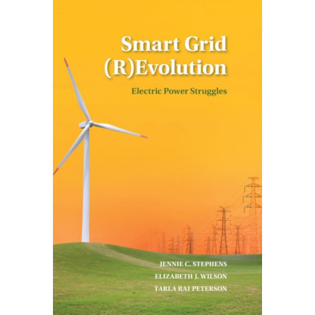 Smart Grid (R)Evolution: Electric Power Struggles