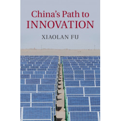 China's Path to Innovation