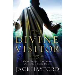 Divine Visitor: What Really Happened When God Came Down