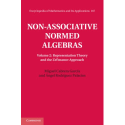 Non-Associative Normed Algebras