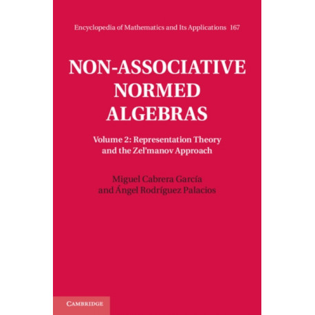 Non-Associative Normed Algebras